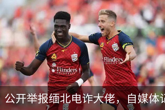 公开举报缅北电诈大佬，自媒体记者被从国内买凶绑架，折磨致死！