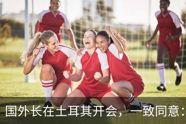 国外长在土耳其开会，一致同意：立即停战！