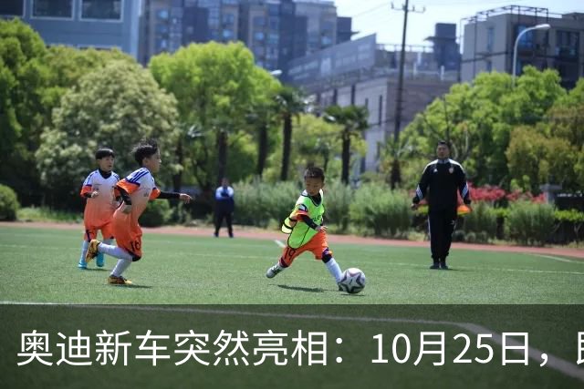 奥迪新车突然亮相：10月25日，即将上市